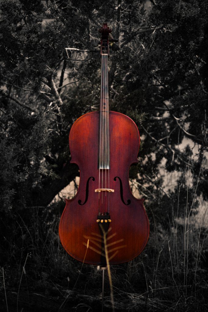 Rotbraunes Cello steht im Freien